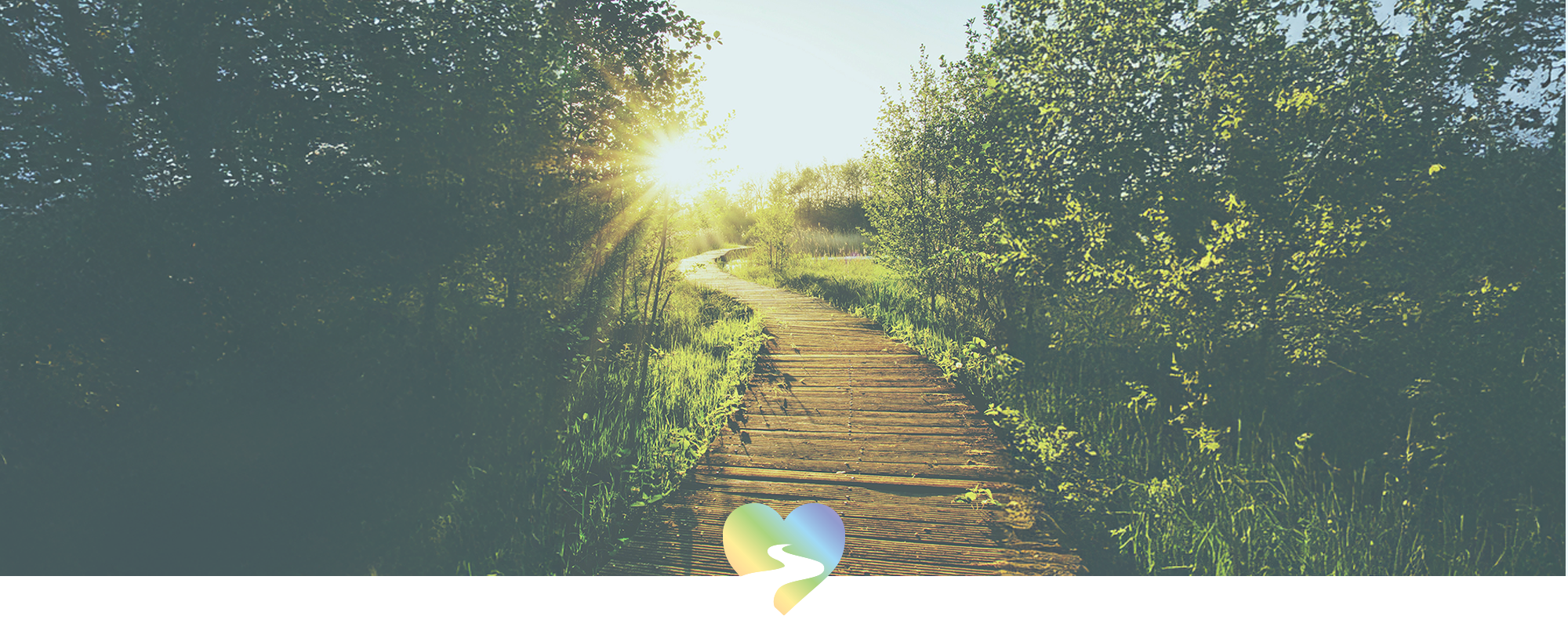 sun rays on a wooden footbridge in nature