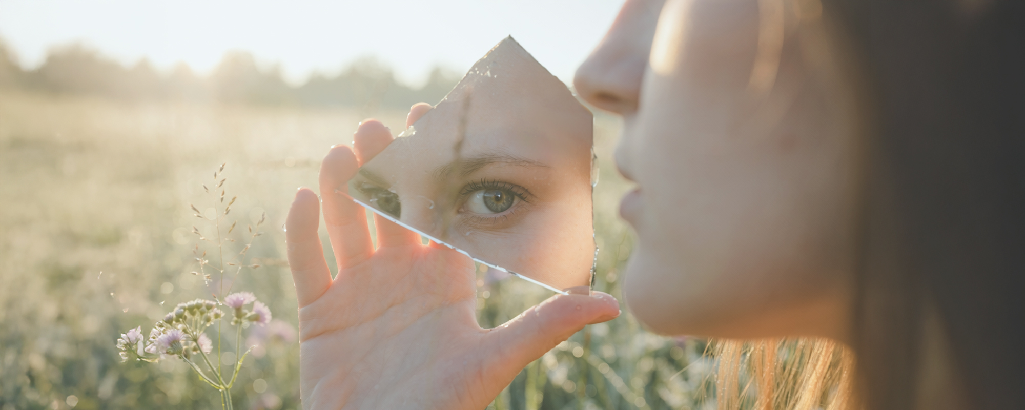 female eyes reflected in a shard of mirror in a meadow symbolizing looking inside yourself